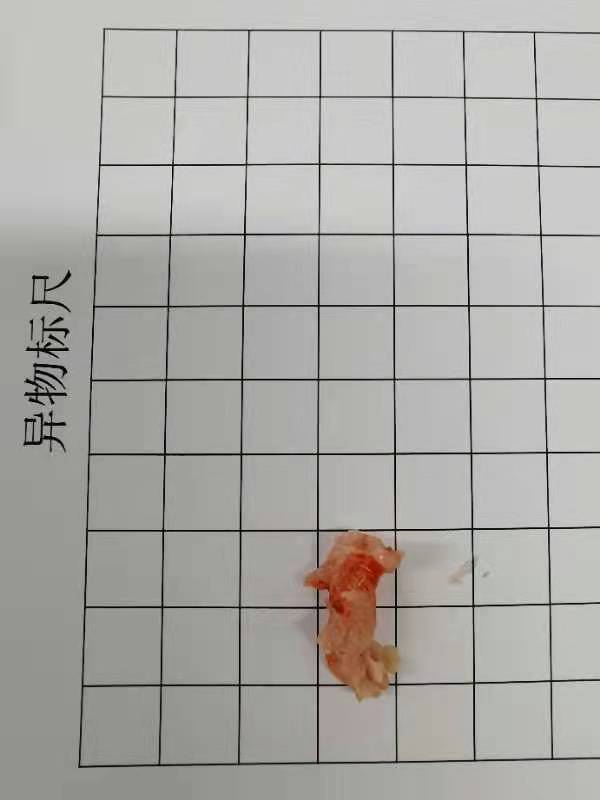 线上德州扑克平台