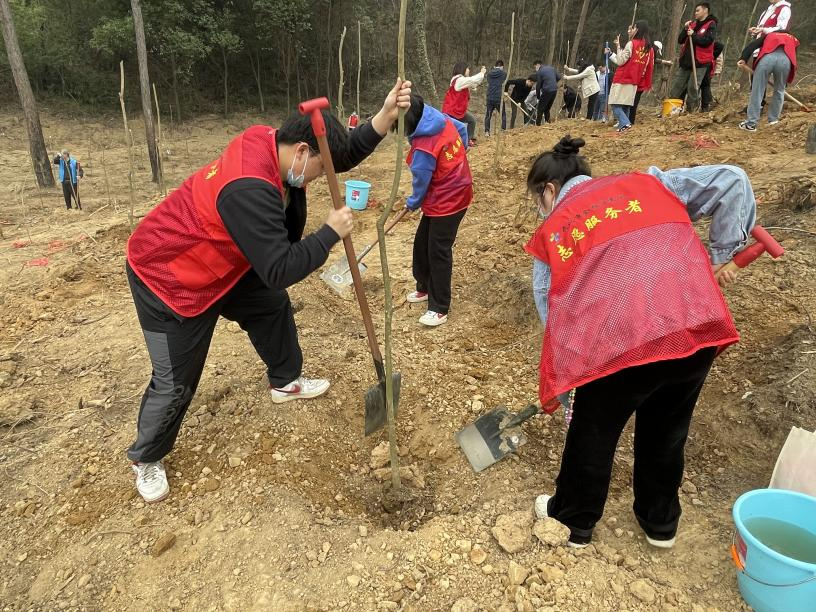 线上德州扑克平台