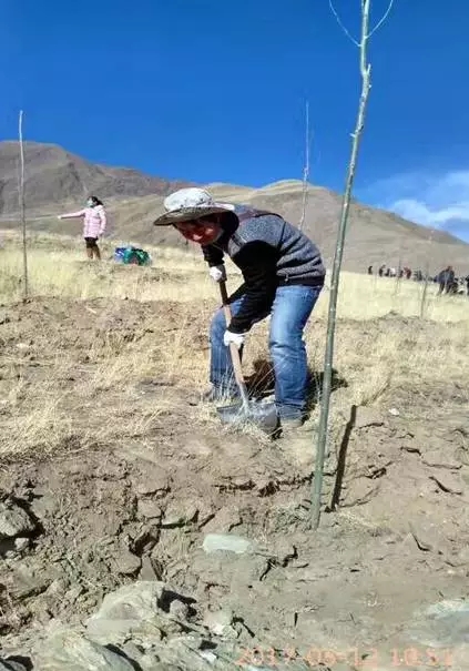 线上德州扑克平台